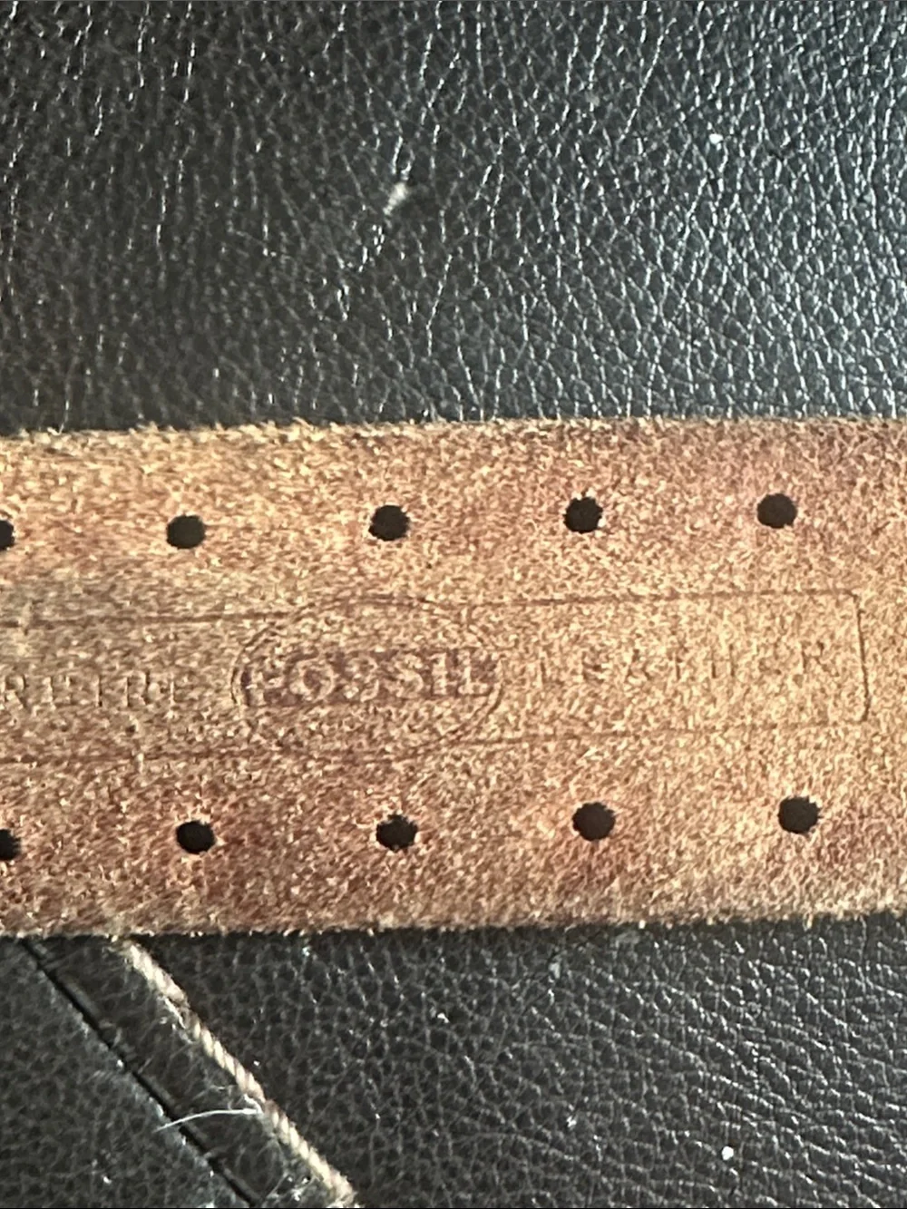 Fossil Brown Leather Studded Belt with Silver Ring Buckle